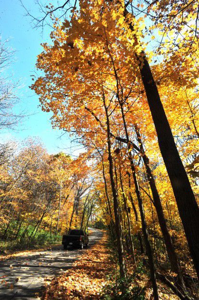 2012: Fall Colors
